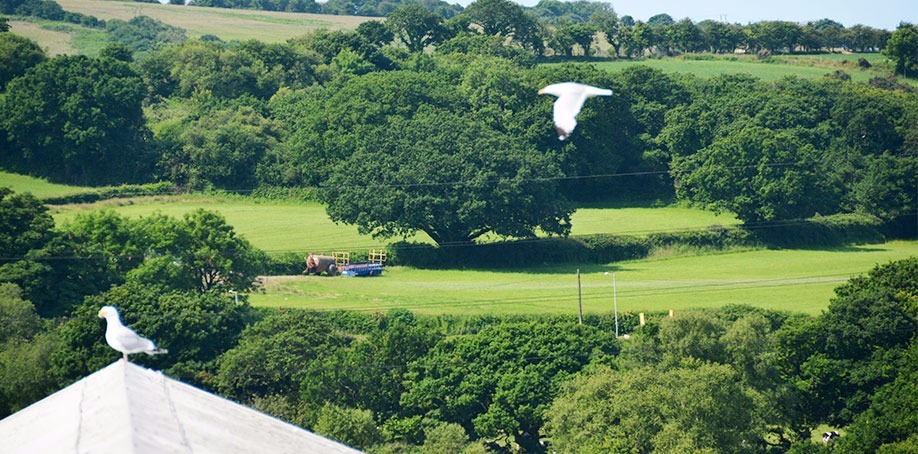 View over MONO's Rooftops towards Swansea Bay